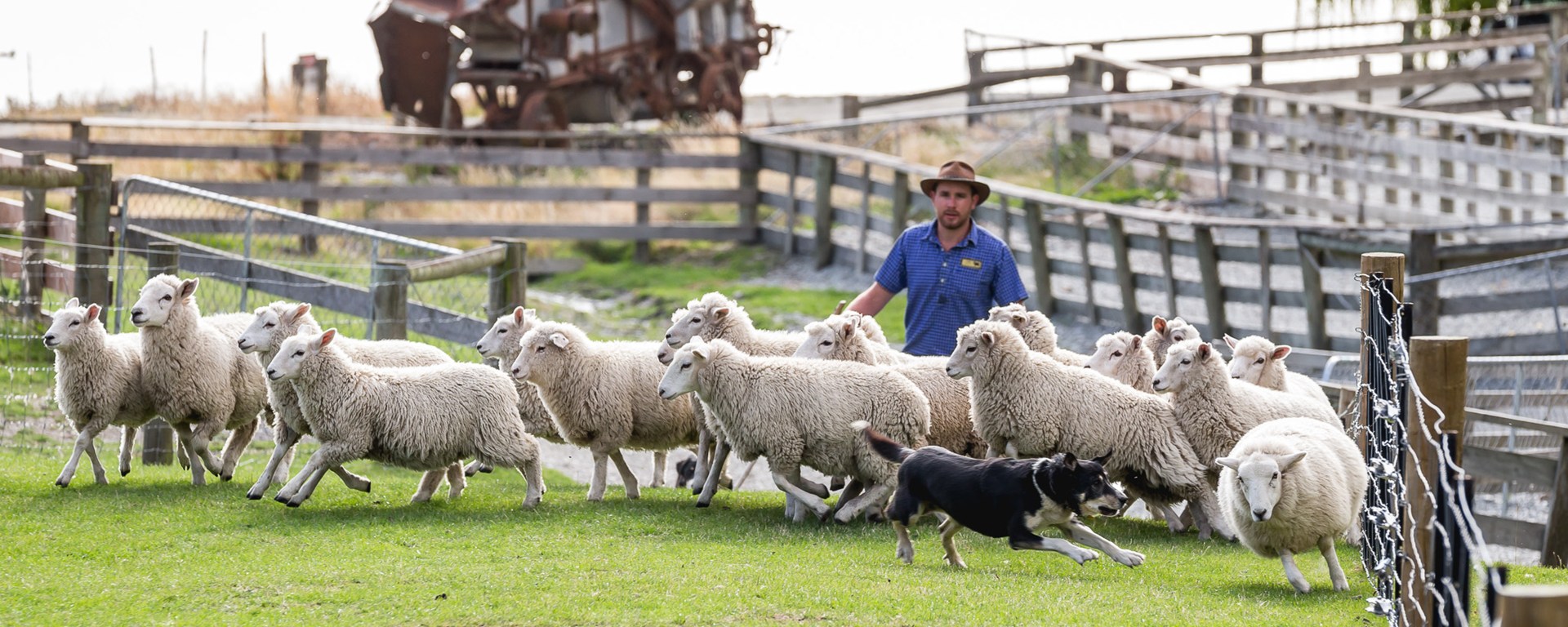 6642-walter-peak-farm-tours.jpg