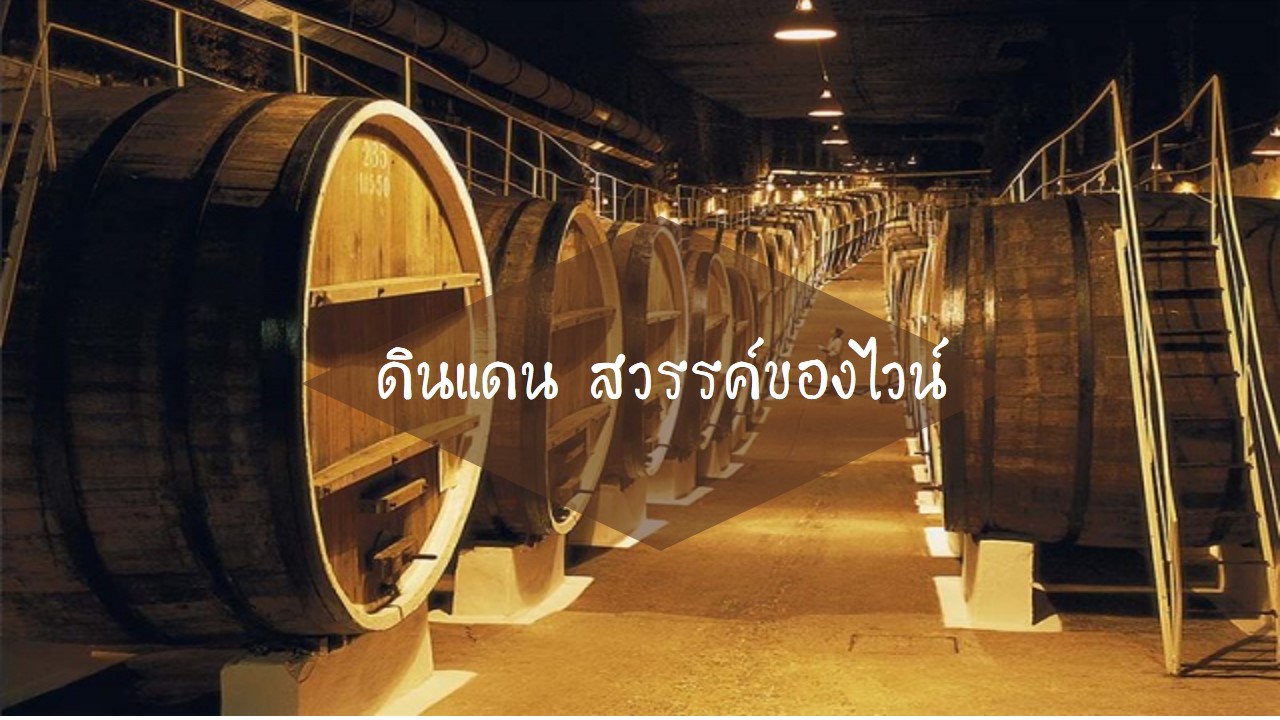 งานนำเสนอ1