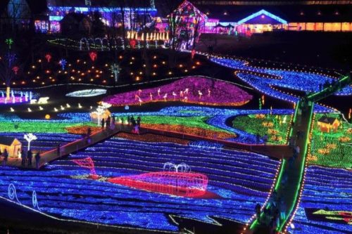 winter-illumination1