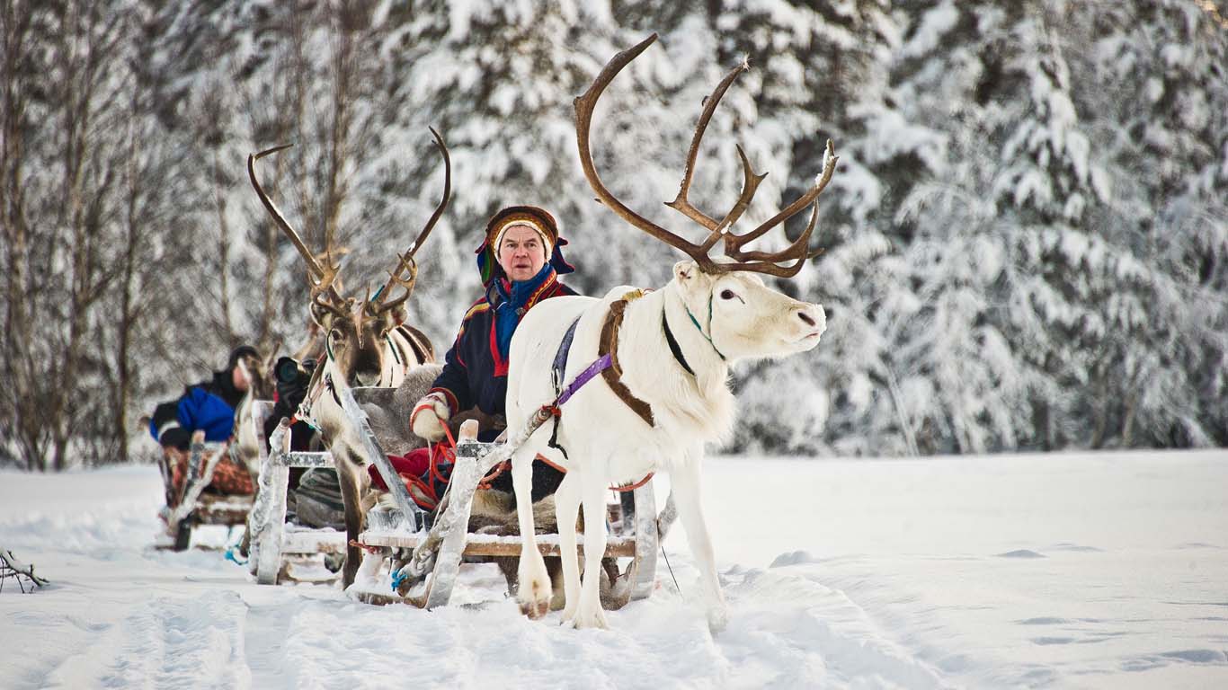 WINTERSPRING_Porosafari_2