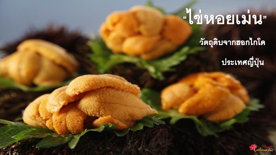 ภาพนิ่ง3.JPG