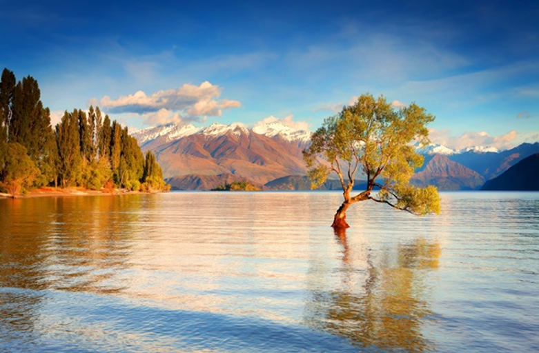 Wanaka NZ