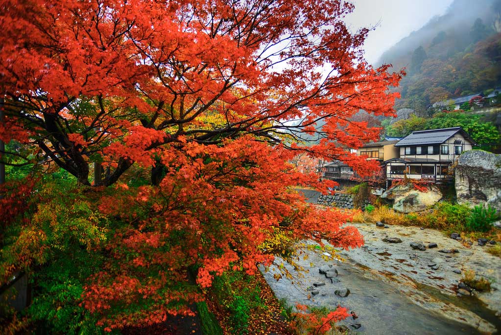 ทัวร์ญี่ปุ่นพรีเมียม : LEELA AUTUMN ATTRACTIVE OF SENDAI