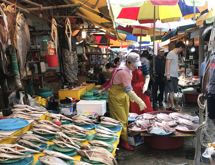 ตลาดปลาจากาลชิ (Jagalchi) ตลาดปลาที่ใหญ่ที่สุดในปูซาน! – SomethingJAM!